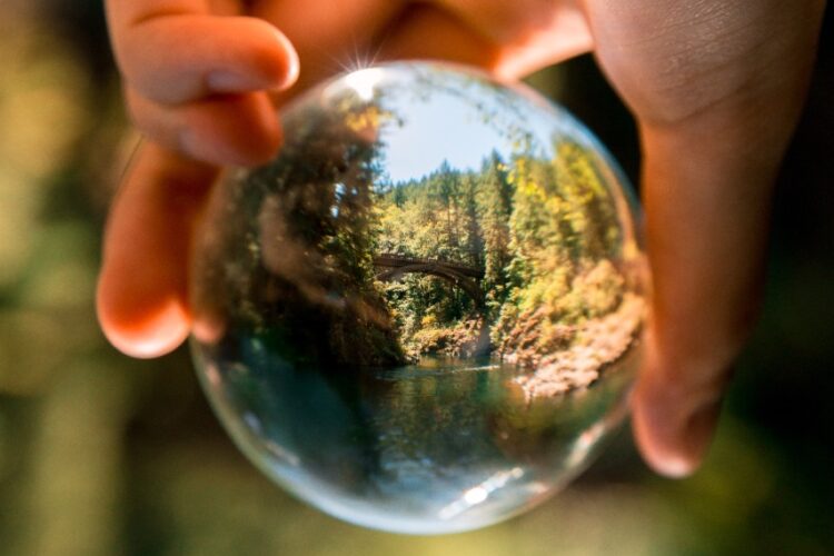 Environmental Impact Studies